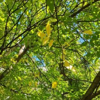 ,,, :: Сергей Тимоновский