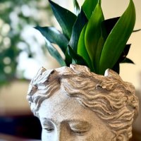 « Экостиль» :: Арина Невская « Экостиль» :: Арина Невская