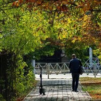 Дыхание Осени золотой... :: Николай Саржанов