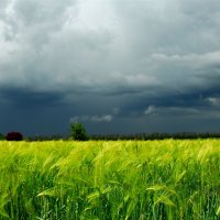 Перед грозой. :: Владимир 