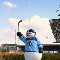 Снеговик :: Vlad Сергиевич Снеговик :: Vlad Сергиевич