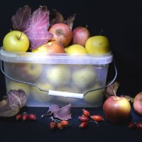 дары лета :: Надежда Куркина 