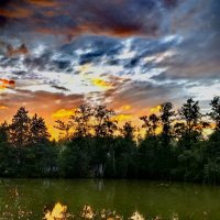 На болоте закат тоже красив... :: Светлана 13.06.