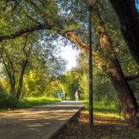 В Летнем Парке :: юрий поляков