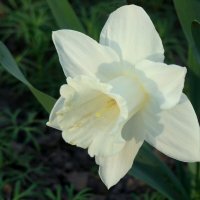 "Будет апрель!" Ю.Левитанский :: Syntaxist (Светлана) "Будет апрель!" Ю.Левитанский :: Syntaxist (Светлана)