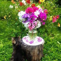 Вот и август пролетел! :: Нина Андронова