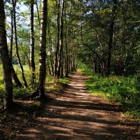 Последние тёплые денёчки лета :: Андрей Лукьянов Последние тёплые денёчки лета :: Андрей Лукьянов