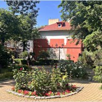 Прогулка по Зеленоградску. :: Валерия Комова