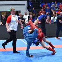 Боевое Самбо :: Александр Гриднев