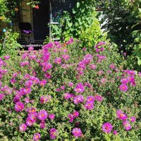 ,,, :: Сергей Тимоновский