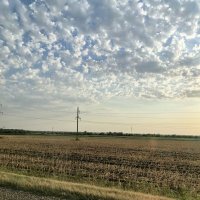 В дороге :: Татьяна Михайлова