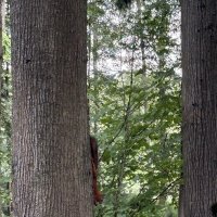 В Ботаническом саду :: Ирэн 