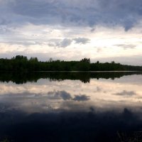 р.Полонка :: Артем 