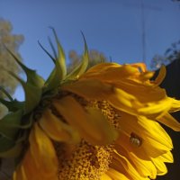 Рекорд! :: veilins veilins Рекорд! :: veilins veilins