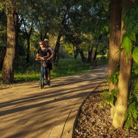 В Летнем Парке :: юрий поляков В Летнем Парке :: юрий поляков