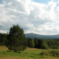 Облачный день. :: Наталья Лунева 