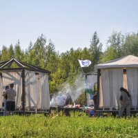 Фордисты (владельцы Фордов) отдыхают :: Татьяна Машошина