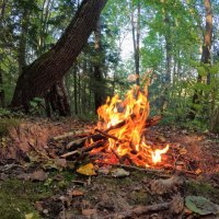Костер в лесу :: Денис Бочкарёв
