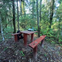 *** :: Денис Бочкарёв