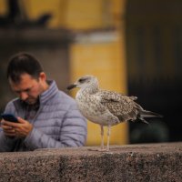 Что там с погодой на 1 сентября? :: Магомед .