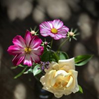 Букетик от уходящего лета… :: Любовь 