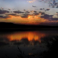 *** :: Надежда Куркина 