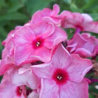 Воспоминание о лете. Август :: Наталья Герасимова