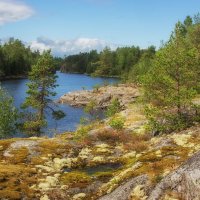 *** :: Сергей  Могутов 