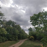 Перед дождем... :: Андрей Хлопонин