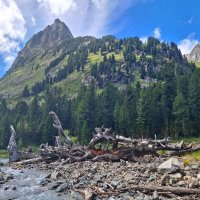 Алтай :: Андрей Л. В.