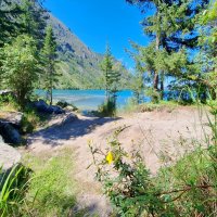 Алтай :: Андрей Л. В.