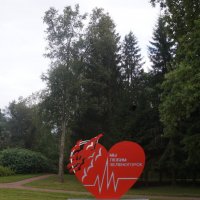 Зеленогорск :: zavitok *