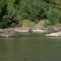 Река Уруп :: Игорь Сикорский