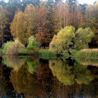 Осень :: Елена Семигина Осень :: Елена Семигина