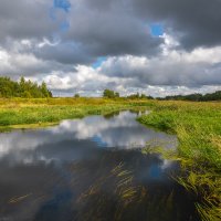 **** :: Елизавета .