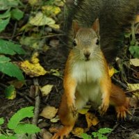 31. 08 :: kolyeretka 