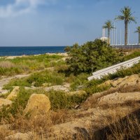 Каспийский берег :: Анатолий Чикчирный