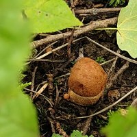 Вот и осень :: Андрей 