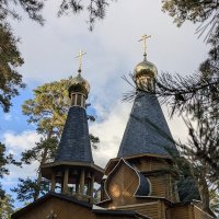 Осень :: Оксана Я