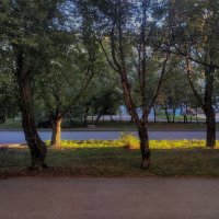 Утро красит нежным светом всё, что ввысь стремилось летом :: Дмитрий Костоусов Утро красит нежным светом всё, что ввысь стремилось летом :: Дмитрий Костоусов