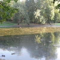 Отражение :: Дмитрий Никитин