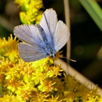 из снятого позапозавчера 1 :: Александр Прокудин