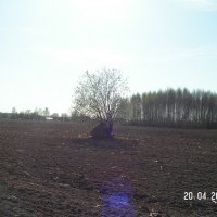 Без названия. :: fogmeadowww m