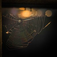 Вечернее :: Магомед .