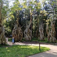 Архилес :: Галина R...