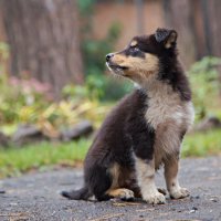 3929 :: Alex . 3929 :: Alex .