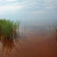 *** :: Сергей Григорьев *** :: Сергей Григорьев