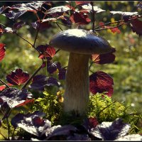 Царь :: Aleksandr Gal