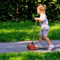 Яркий жаркий денёк уходящего лета,,,) :: Анатолий Колосов