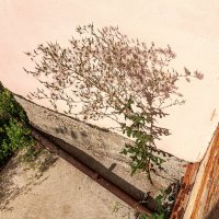 Cоюз :: Дмитрий 